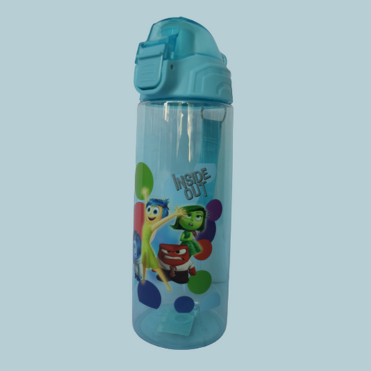 Inside Out Water Bottle 700ml 8006